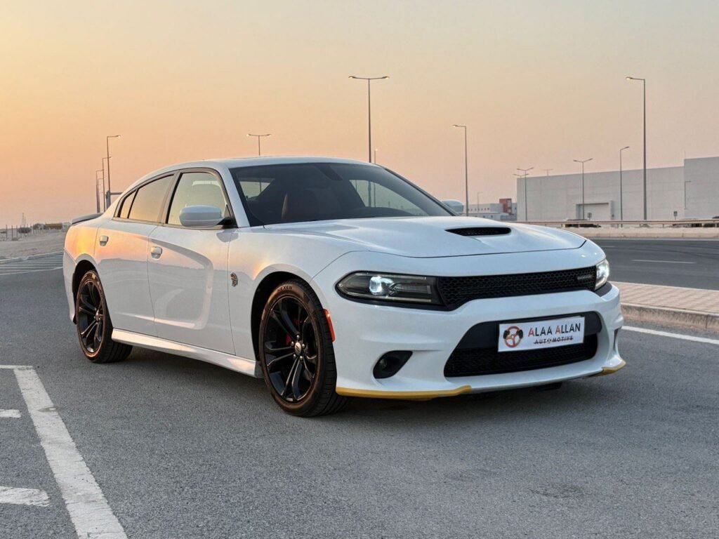 photo_2_2025-07-26_16-14-42